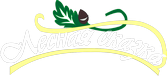 Кафе «Лесная Сказка»